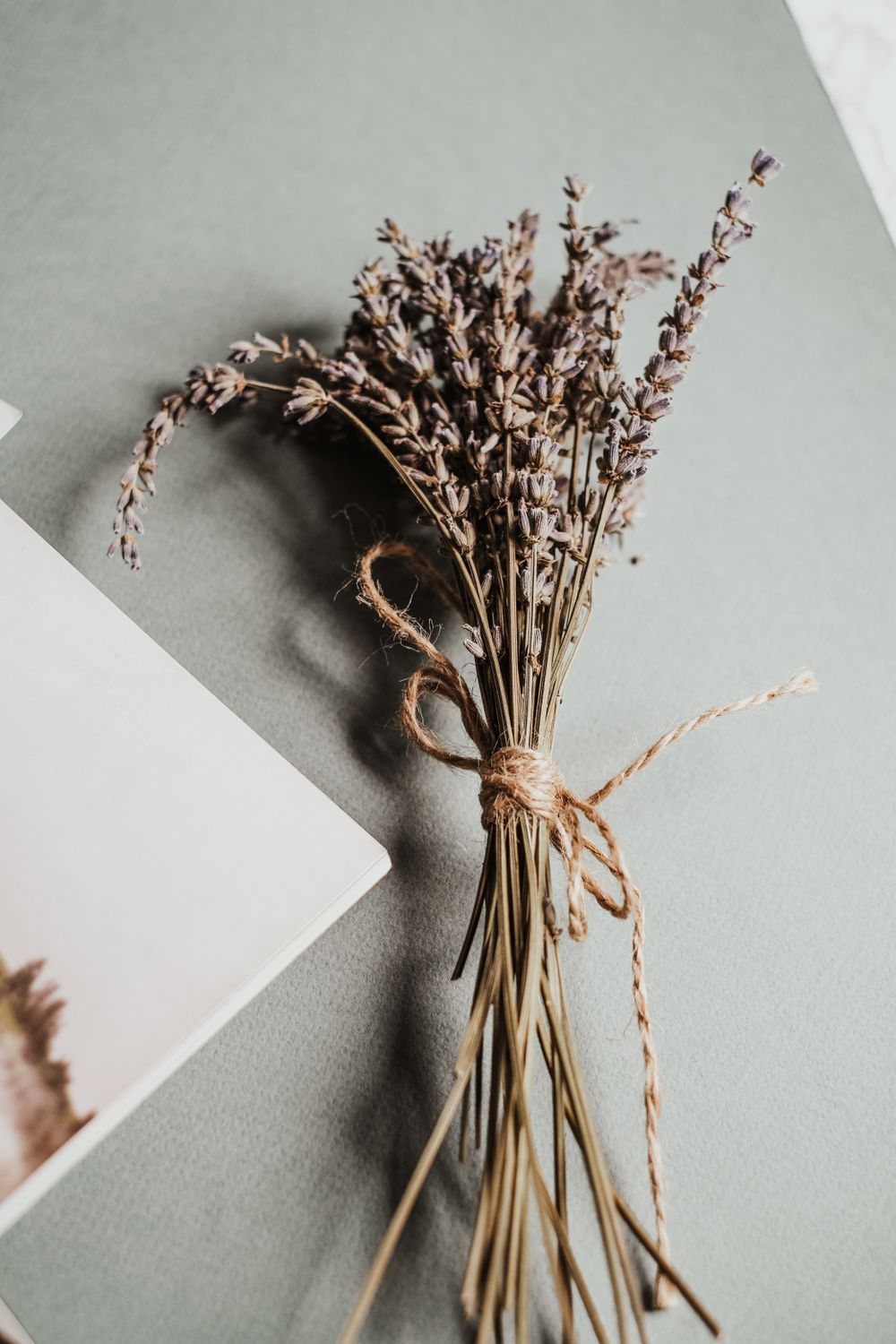 A dried lavender bundle tied with twine, representing the Herbal & Botanical collection's calming scent notes.